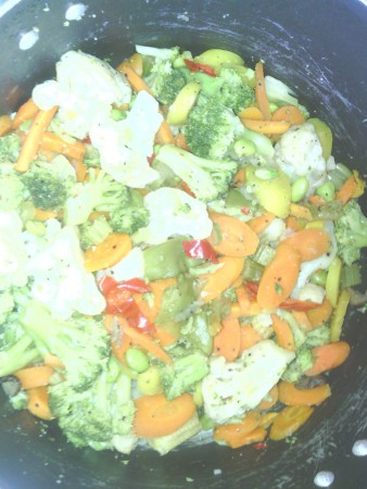 Blended Vegetables